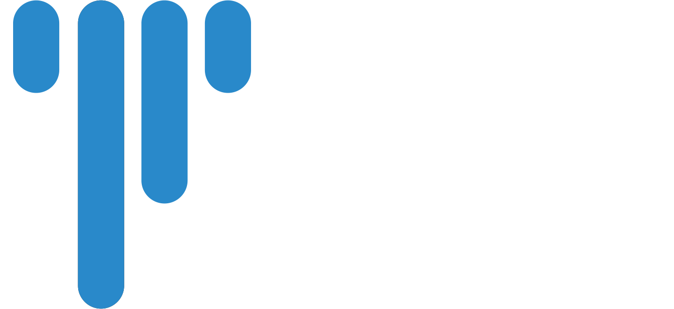 VFEX Logo